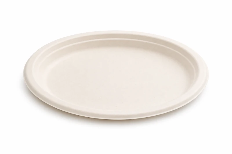 10 Inch Bagasse Plate