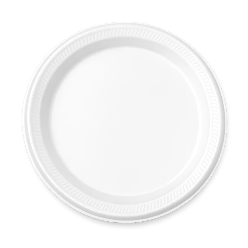 Foam Plate 10 Inch