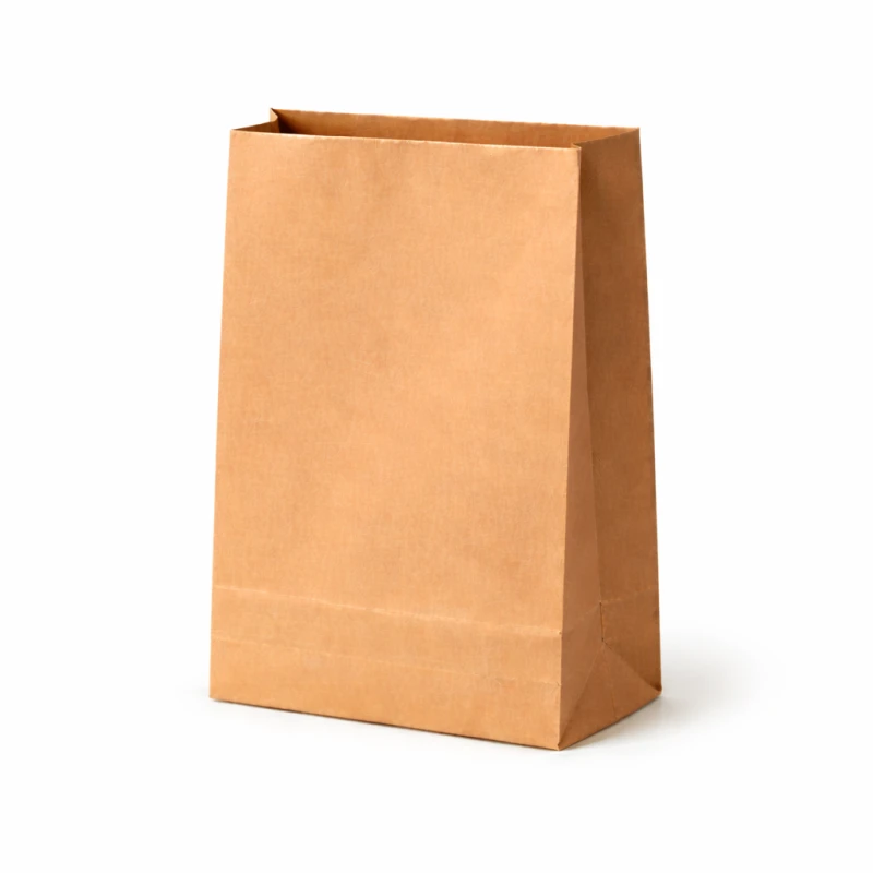 20 lb Brown Paper Bags